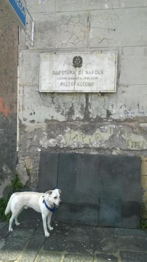 Casa Antica Pizzofalcone Naples Exterior photo